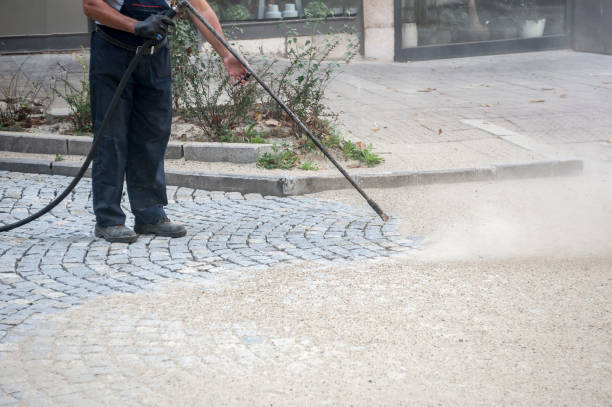  Omao, HI Pressure Washing Pros